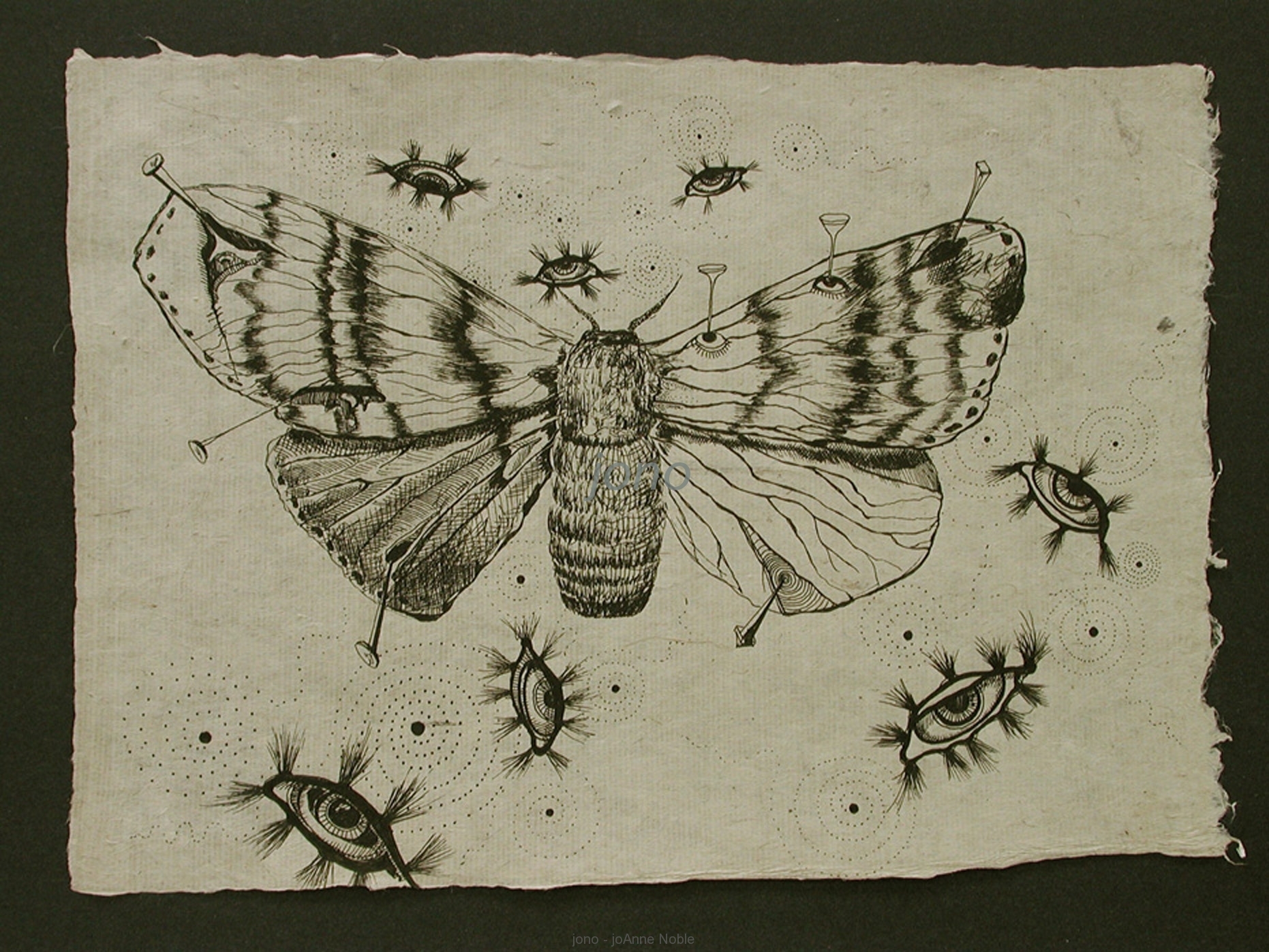 d011-gypsy-moth.JPG