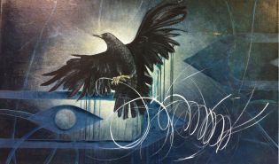 crow-on-a-wire-jpg-copy_qys64a