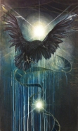 jacob's crow 2016.jpg
